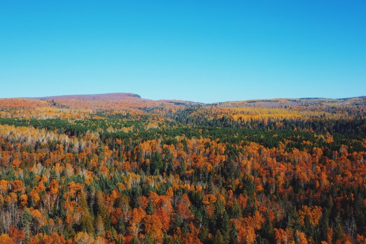 Processed with VSCOcam with lv01 preset