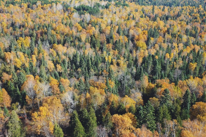 Processed with VSCOcam with f2 preset