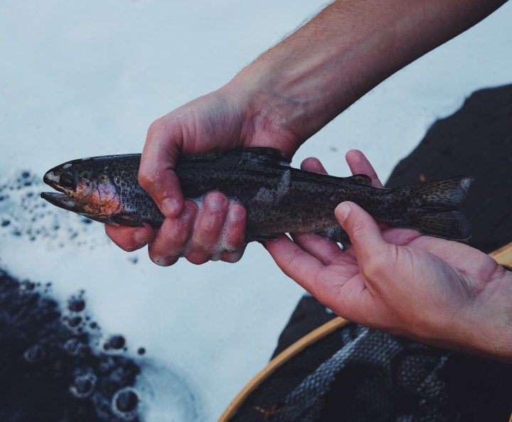 Processed with VSCOcam with f2 preset