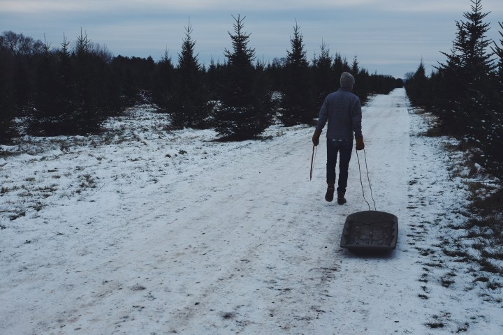 Processed with VSCOcam with f2 preset