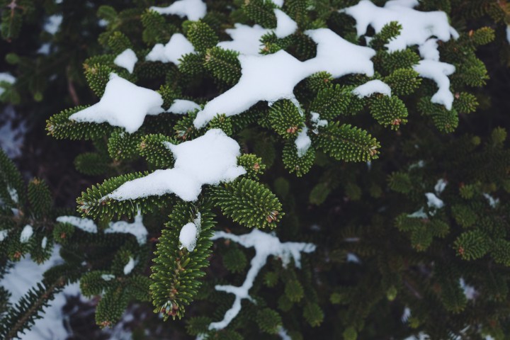 Processed with VSCOcam with f2 preset