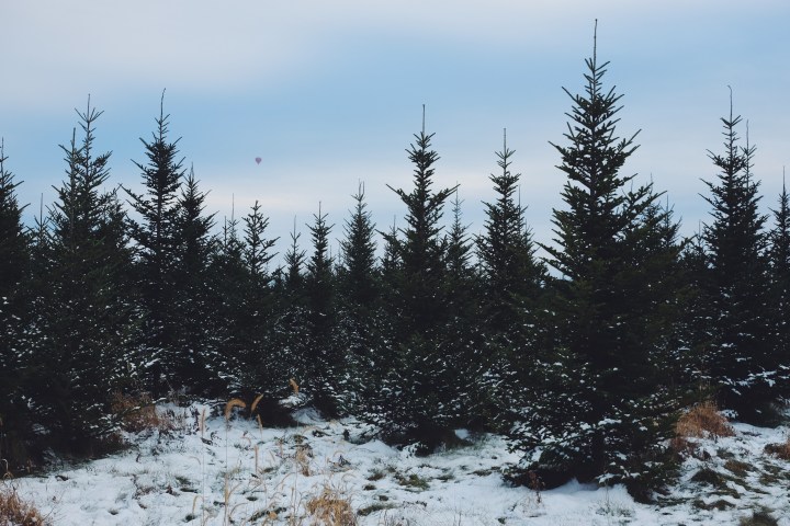 Processed with VSCOcam with f2 preset