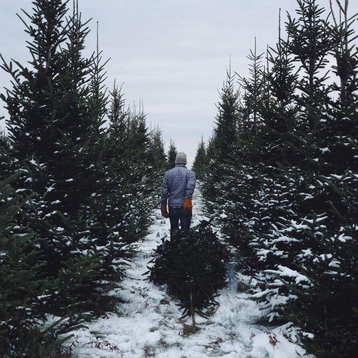 Processed with VSCOcam with f2 preset