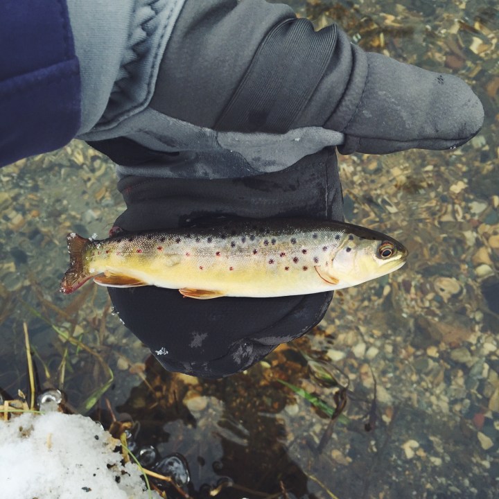 Processed with VSCOcam with f2 preset