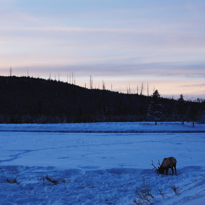 Processed with VSCOcam with lv01 preset