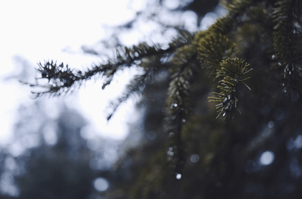 Screen Shot 2016-08-17 at 10.04.50 PM