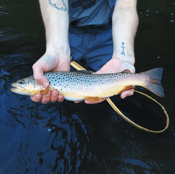 Screen Shot 2016-08-17 at 10.05.18 PM