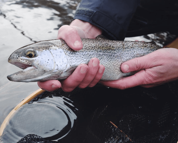 Screen Shot 2016-08-17 at 10.06.17 PM.png