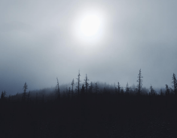 Screen Shot 2016-08-17 at 10.06.34 PM.png