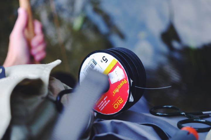 2016-09-03 18.20.44-2.jpg