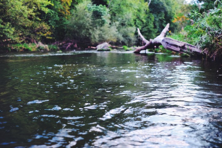 2016-09-03 18.33.36-3.jpg