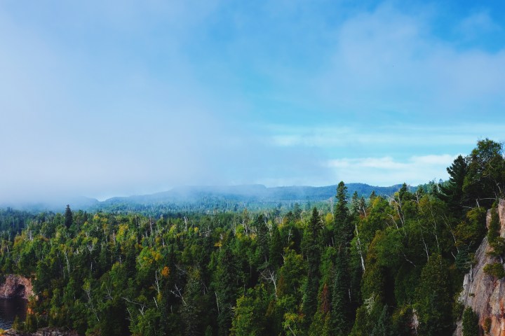 Processed with VSCO with lv01 preset