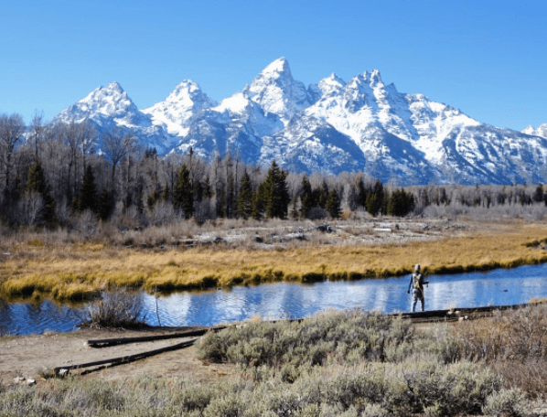 screen-shot-2016-11-09-at-10-15-53-pm