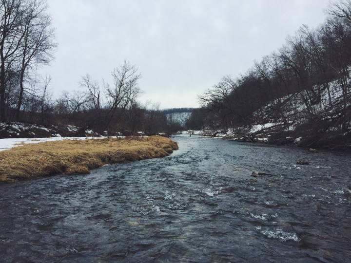 Photo Feb 11, 3 19 02 PM (1).jpg